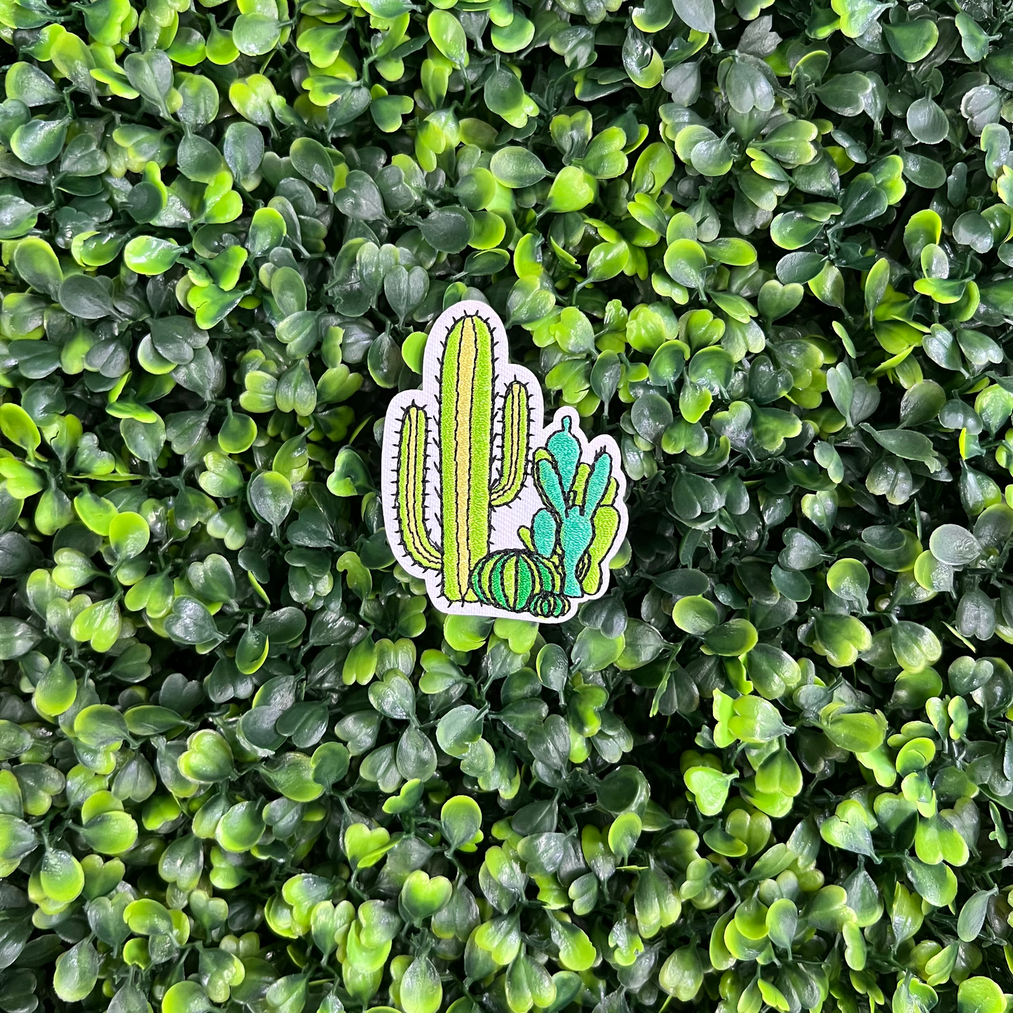 Three‑Cactus Patch