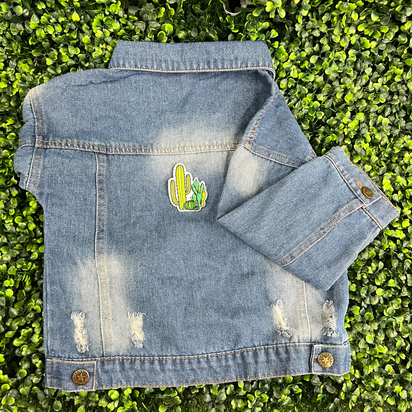 Three‑Cactus Patch