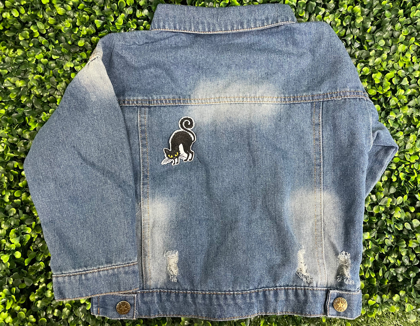 Black Cat Embroidered Patch