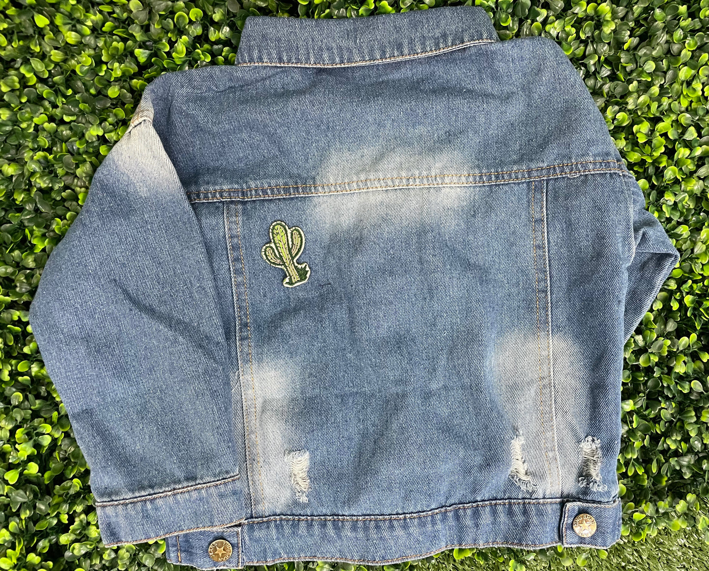 Green Cactus Embroidered Patch