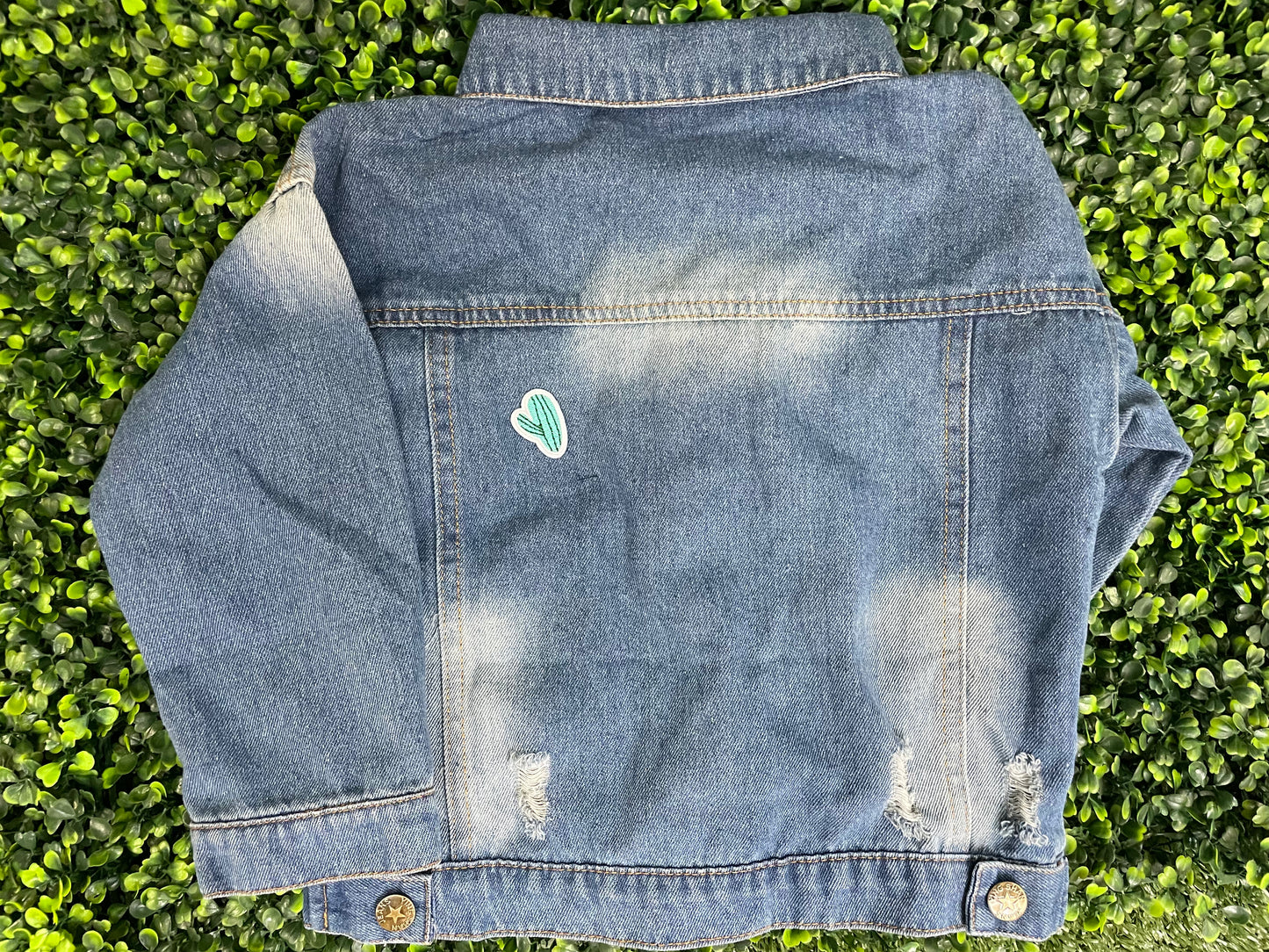 Tiny Heart Cactus Embroidered Patch