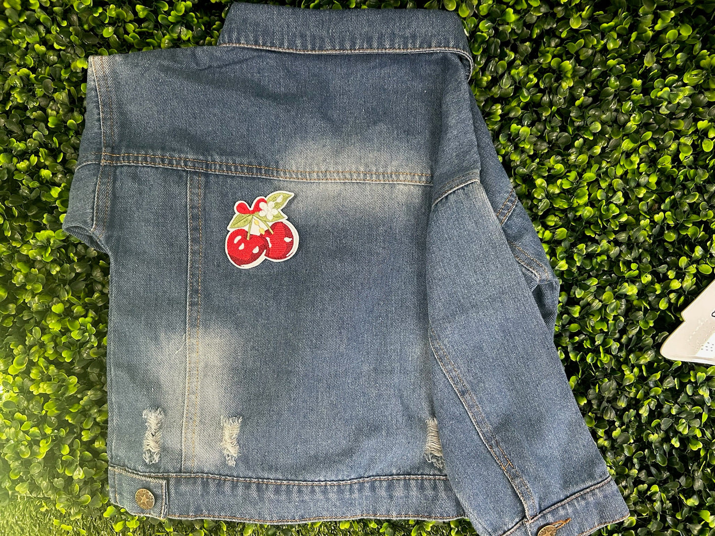 Cherries with Flower Stem Embroidered Patch