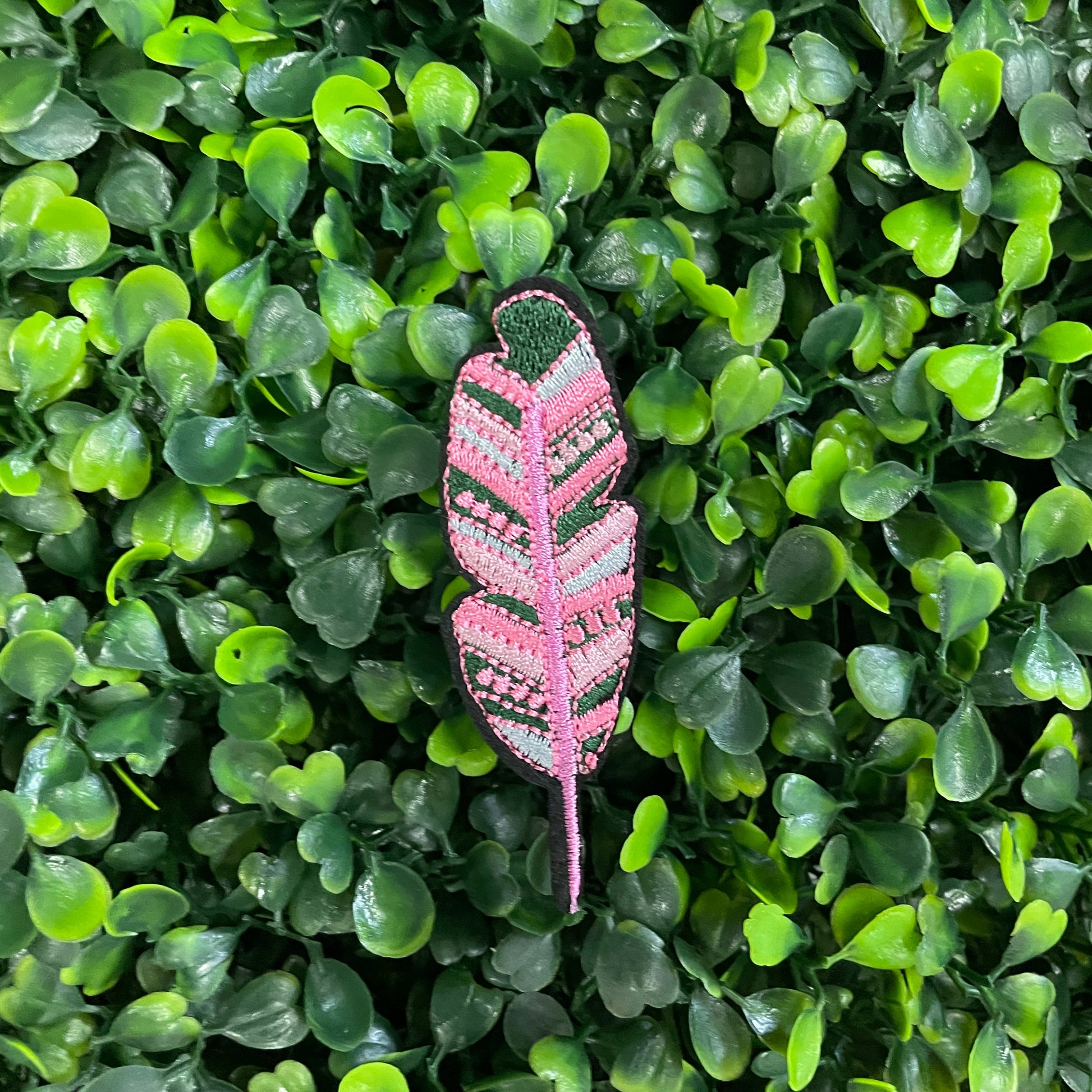 Pink feather-shaped patch on a bed of green leaves