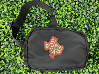 All My Exes Live in Texas Embroidered Patch