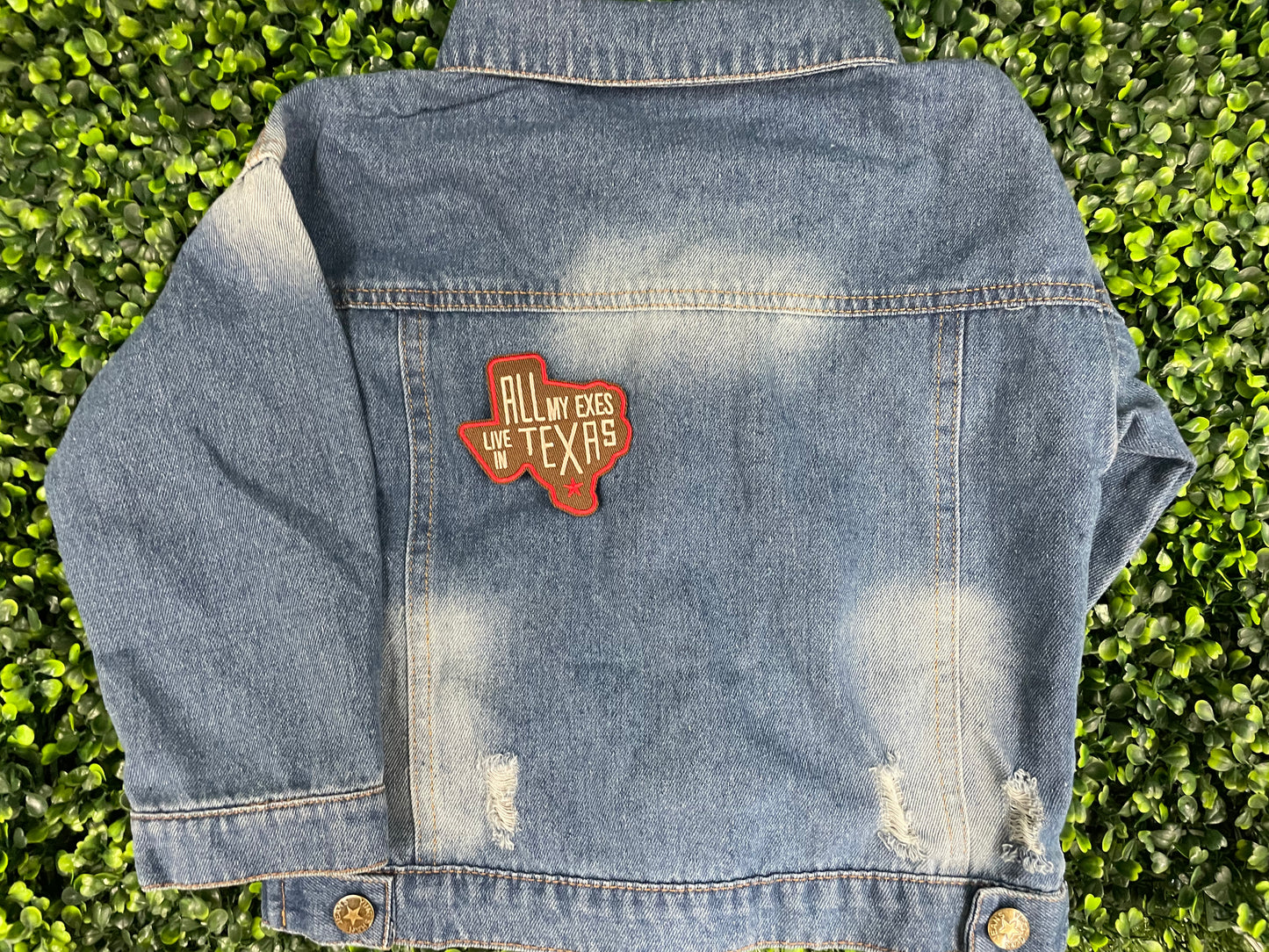 All My Exes Live in Texas Embroidered Patch