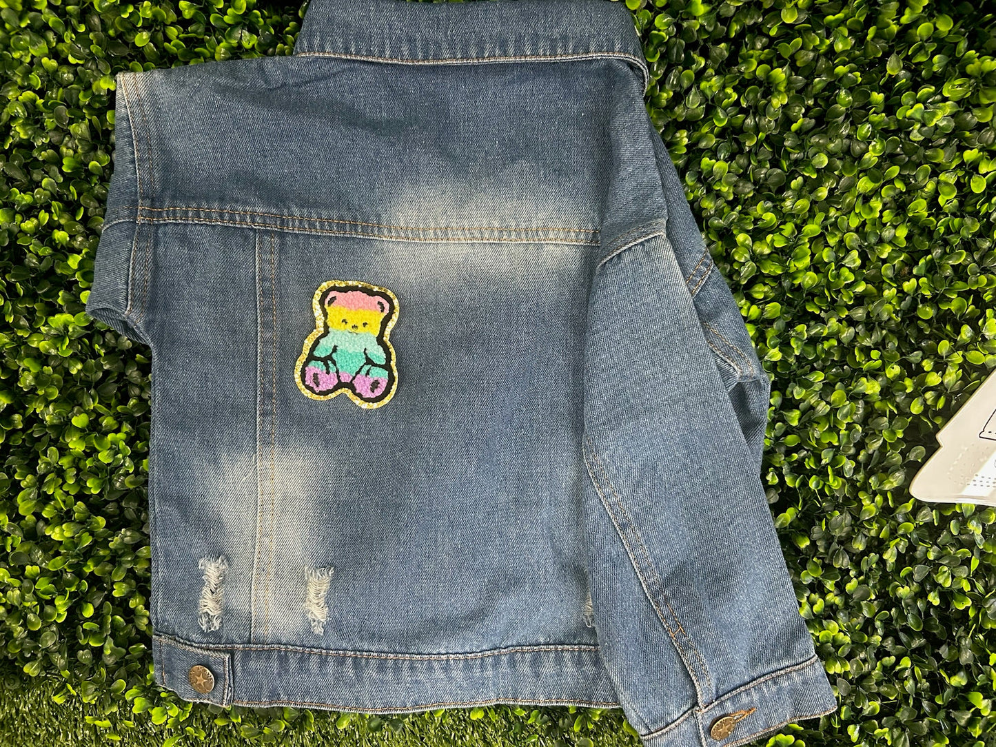 Rainbow Bear Chenille Patch