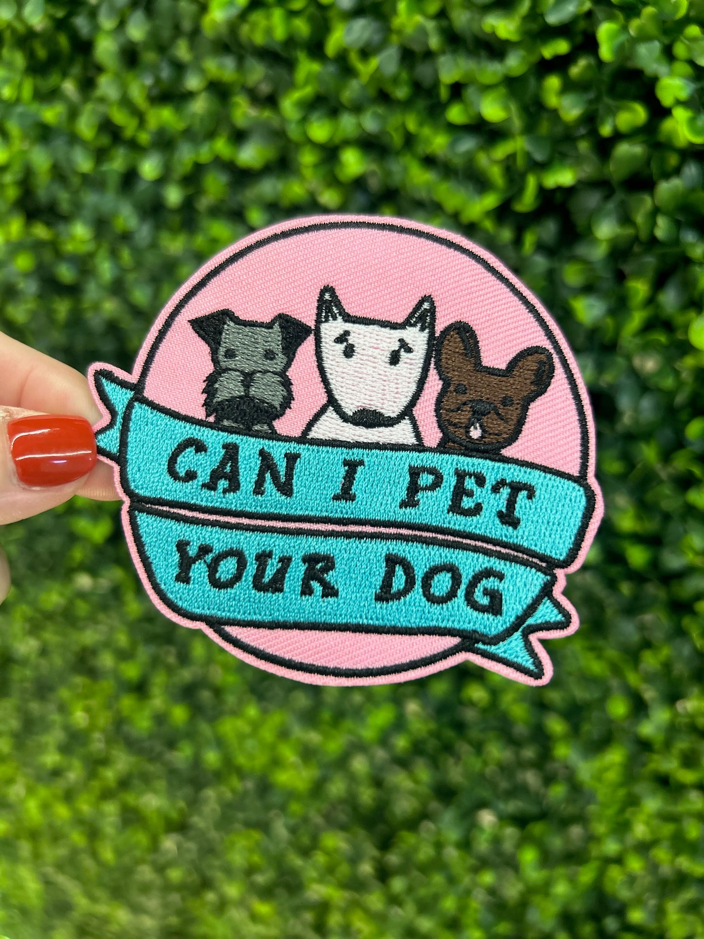 Can I Pet Your Dog Embroidered Patch