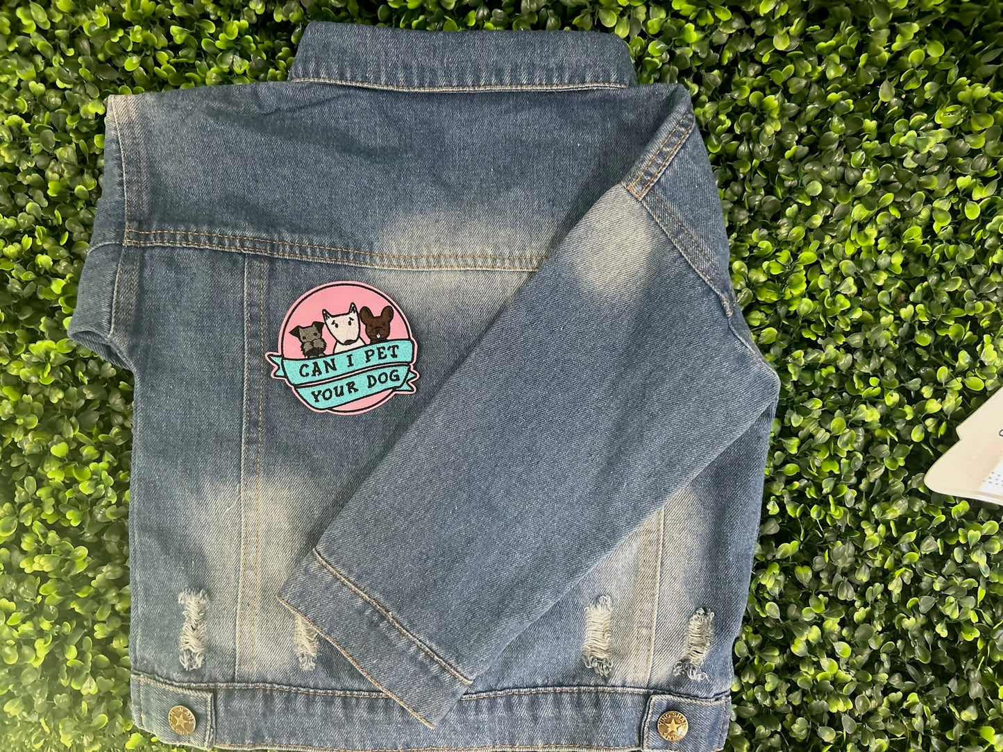 Can I Pet Your Dog Embroidered Patch